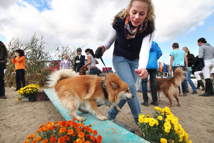 Hund und Pferdeparcours
Fotojournalist Oliver Schaper